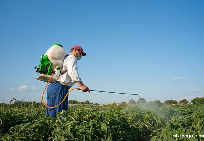 自动虫情测报灯应用前景