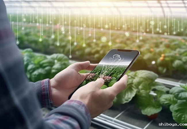 智慧农业.jpg