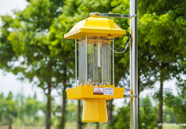 太阳能杀虫灯优势介绍