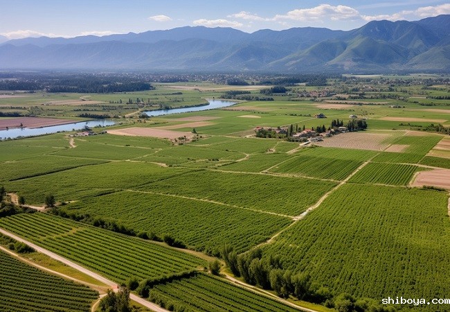 高标准农田建设，太阳能杀虫灯显身手！