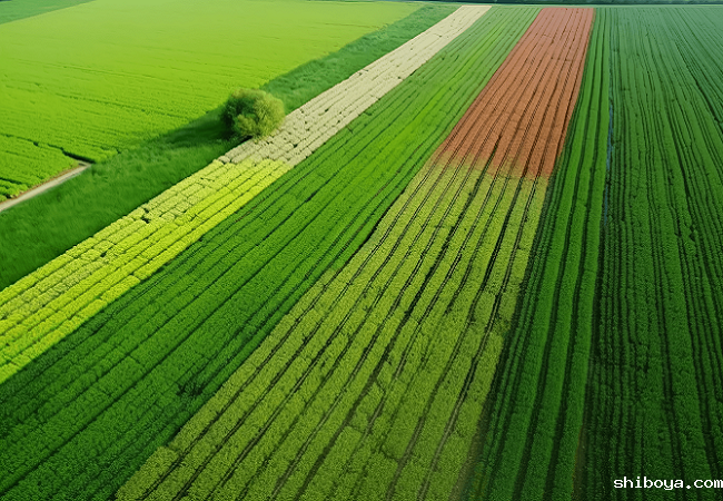 高标准农田应用孢子捕捉仪