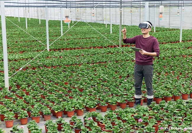科技改变农业，揭秘智慧农业的奥秘