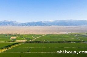 天长市：应用太阳能杀虫灯，防治田间虫害