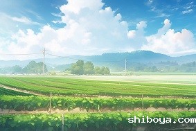 芳草湖农场应用太阳能杀虫灯防治虫害！