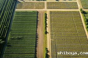 太阳能杀虫灯多少亩农田安装一台