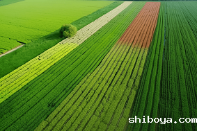 太阳能杀虫灯能有效杀死多大面积