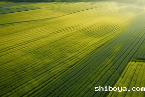 高标准农田建设的6个模式