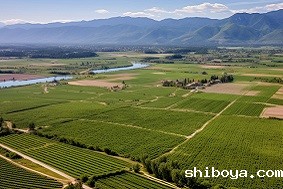 高标准农田建设的实施的三个要点