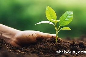 土壤墒情自动监测站介绍