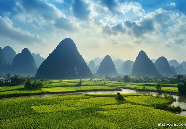 太阳能杀虫灯介绍