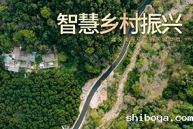 乡村振兴丨赋能智慧农业 金融“活水”进村头