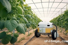 王羽强在敖勒召其镇调研智慧农业和集体经济发展