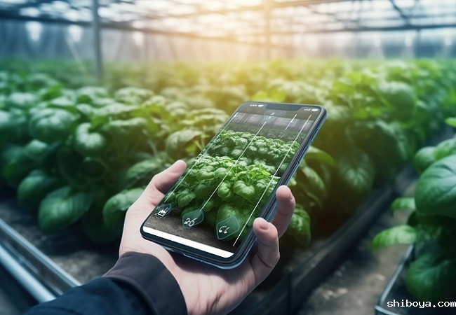 数字农业.jpg