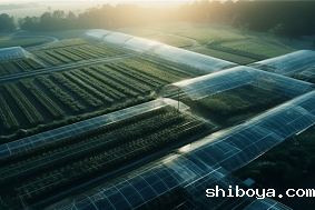 现代农业产业园投入成本要多少？