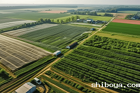 数字农场特点是什么