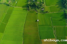 建设高标准农田的标准是什么？