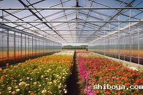 智能温室大棚系统优势介绍