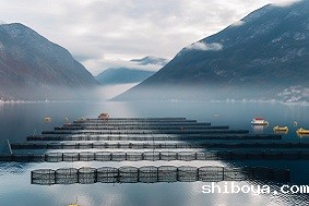 水产养殖管理系统组成部分介绍