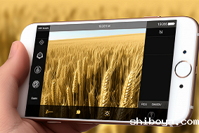 智能虫情测报系统优势介绍