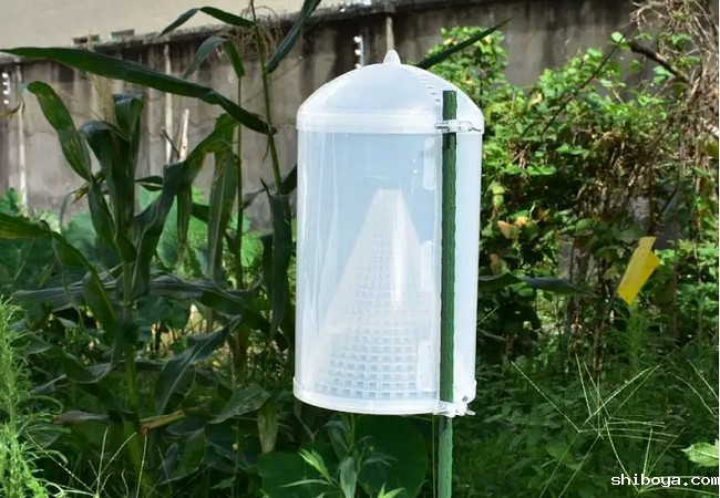 新型飞蛾诱捕器.jpg