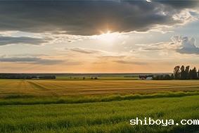 建设高标准农田有哪些好处