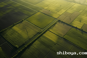 高标准农田特征介绍