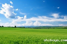 高标准农田的优势有哪些