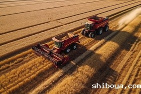 高标准农田建设有哪些困难