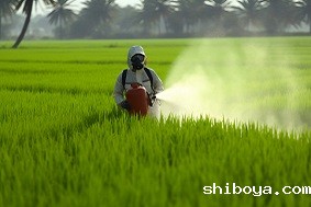 水稻病虫害防治技术