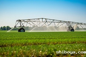 高标准农田跟普通农田有什么不一样