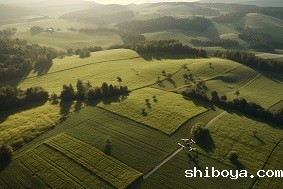 什么是农林四情监测系统