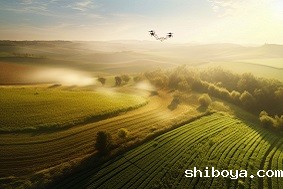 三旺通信为丹麦智慧农业插上数字化“翅膀”