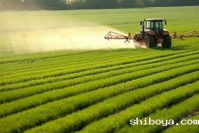 数字农场的意义是什么