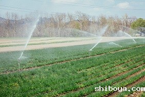 水肥一体化系统特点介绍