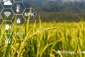 水稻虫情测报灯特点介绍