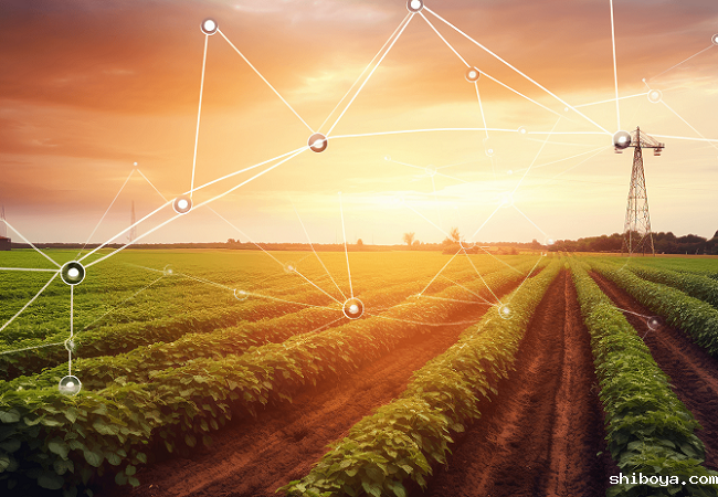 大田绿色防控管理系统有哪些优势