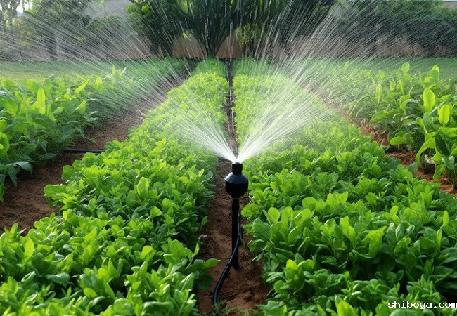 一套水肥一体化系统多少钱