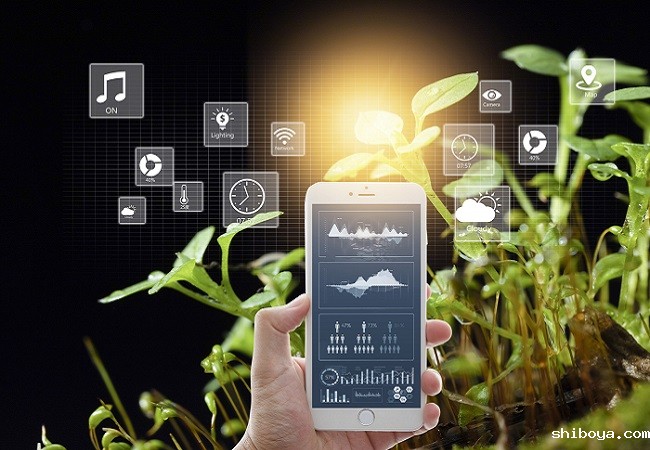 病虫害监测预警系统有哪些特点