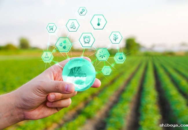 安徽桐城：智慧农业助力乡村振兴